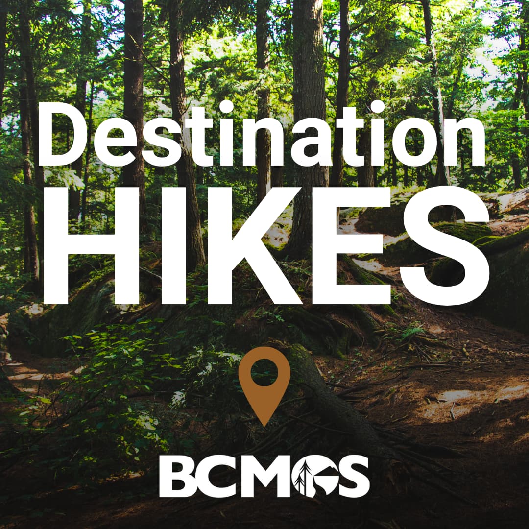 Forest path. Destination Hikes with BCMOS.